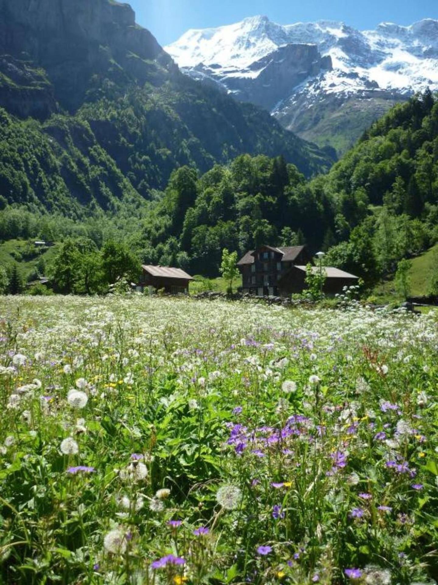 Alpenhof Mountain Lodge シュテッヘルベルク エクステリア 写真